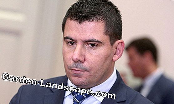 Borba protiv budala ili džepne bolesti