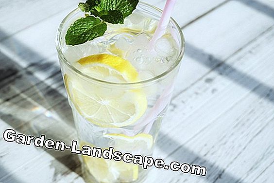 無料の水