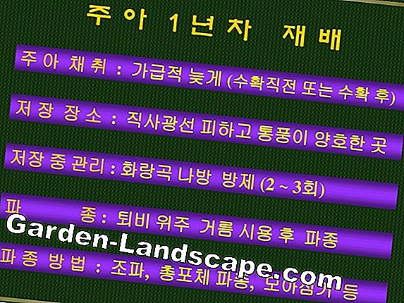 바위 배-심기, 관리 및 절단