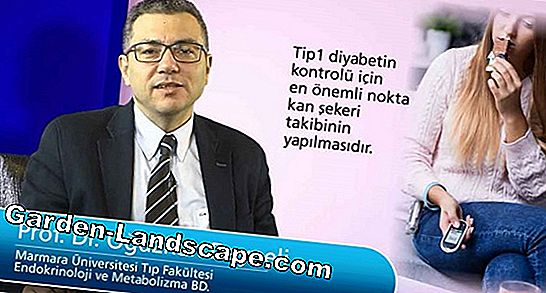Kuru erik kesmek - Nasıl düzgün devam edilir