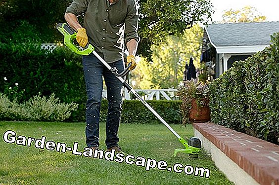 Coupe-herbe - Indispensable pour couper les bords de la pelouse
