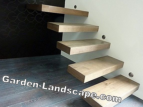 Escaliers en colimaçon en bois - prix, calcul