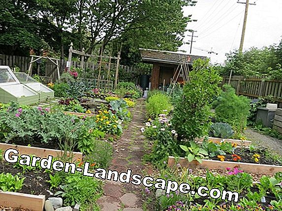 Vaše pravo na vrt: Građevinska dozvola za vrtnu šupu