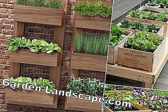 Jardinagem - Dicas para criar pequenos jardins