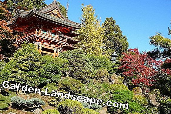 Os 5 jardins japoneses mais bonitos do Extremo Oriente