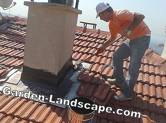 Çatı kaplaması ve çatı temizliği: maliyetler / fiyatlar